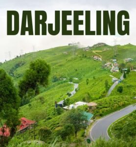 Lush green tea estate in Darjeeling, Maharashtra, with rolling hills and vibrant tea plants under a clear blue sky.
