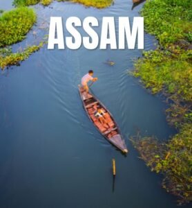 Scenic view of Assam's lush landscapes, showcasing its natural beauty and cultural heritage for travelers.